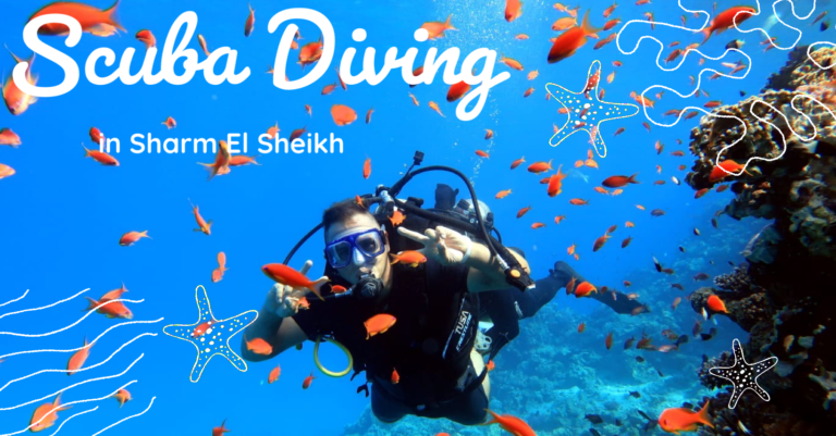 Christian scuba diving in sharm el sheikh